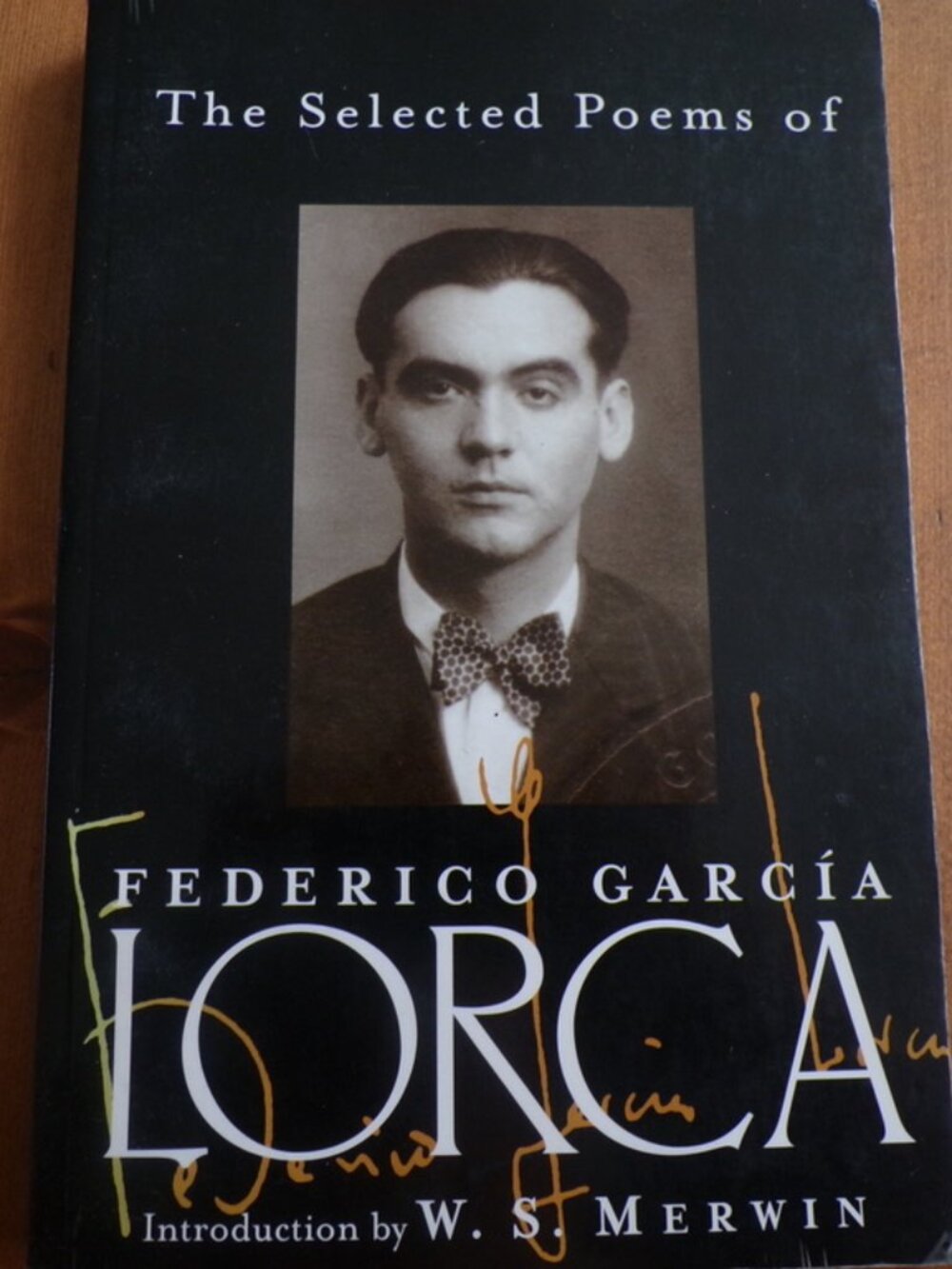 The Selected Poems of Frederico Garcia Lorca by Frederico Garcia Lorca